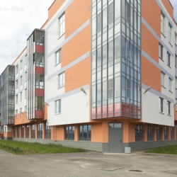 Старт продаж в 5 очереди ЖК Новый Петергоф