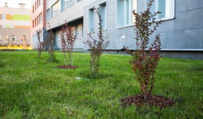 В ЖК «КосмосSTAR» от холдинга «Аквилон Инвест» высадили вишневый сад