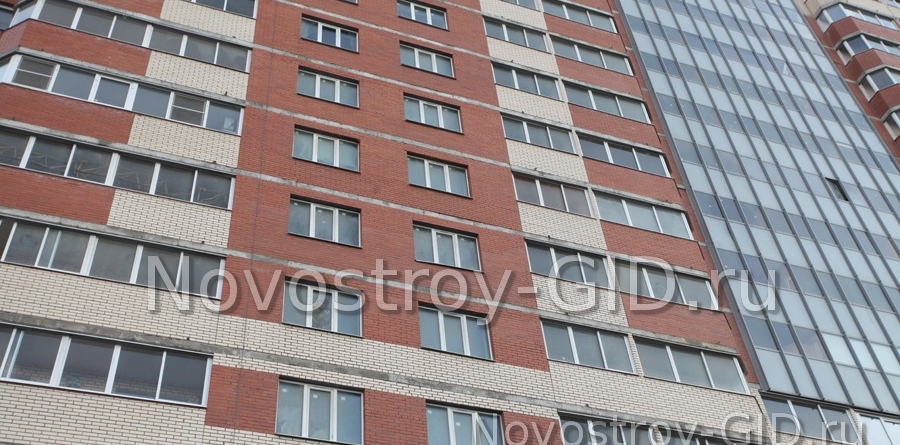 Новостройка Пулковский