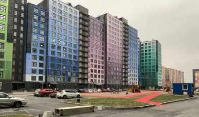 Время собираться с «Силами»: в Мурино достроен второй корпус «Сил природы»